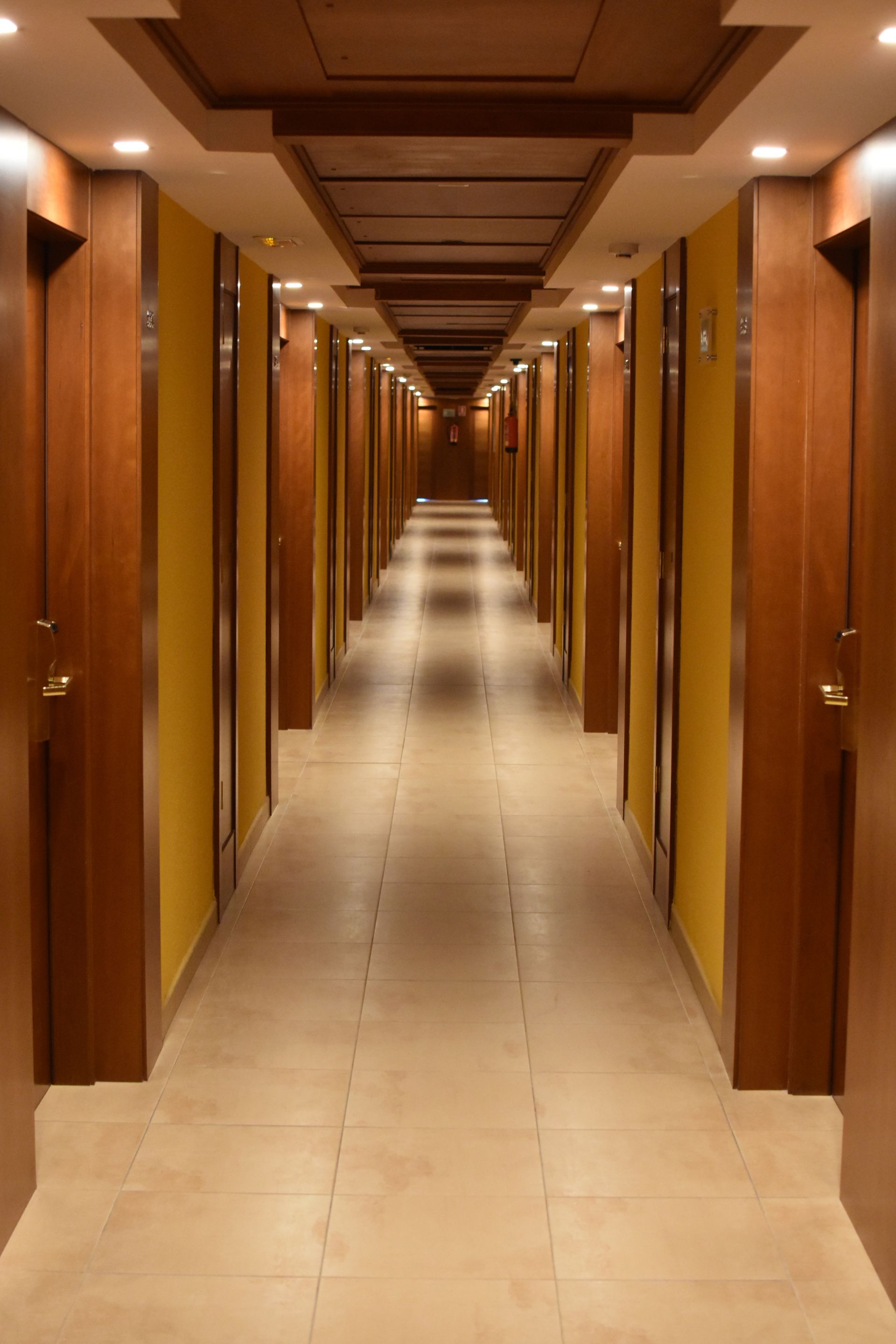 Fire-rated doors fitted along a building corridor